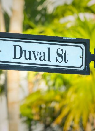 A street sign reading &ldquo;Duval St&rdquo; mounted on a pole with green foliage blurred in the background.