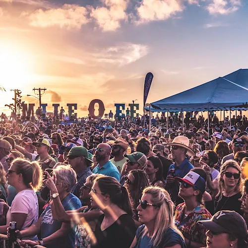 A packed outdoor music festival at sunset, with palm trees, big blue tents, and a cheering crowd filling the field in golden light.