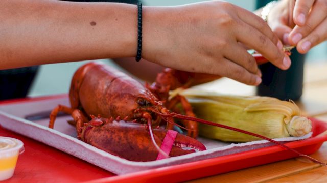 A person peeling/cutting a cooked lobster on a red tray next to corn on the cob and other seafood, with hands visible.