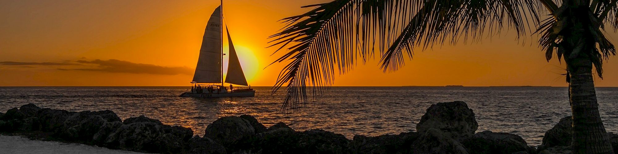 A sailboat glides on the ocean at sunset, framed by palm fronds and rocky shore.